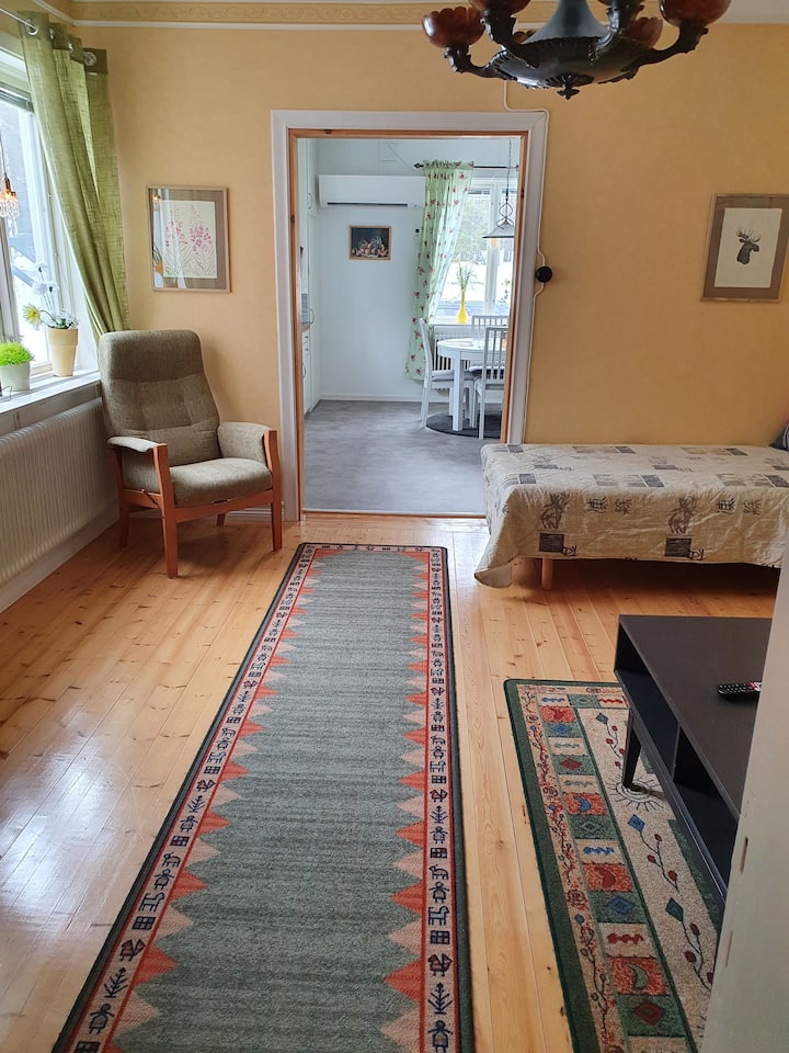 Sala de estar con cama supletoria