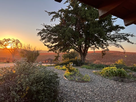 Successful Airbnb property: Entire Hobby Farm, Surrounded by Vineyards in El Paso De Robles (Paso Robles)