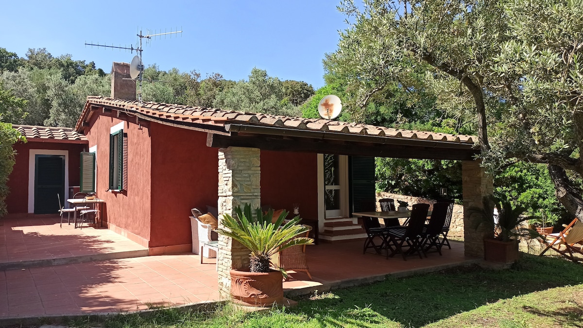 A charming independent villa is set amidst lush greenery, featuring a spacious patio with a tiled floor. The area is shaded by a wooden awning, with seating options including a table and chairs, inviting relaxation among the surrounding olive trees.