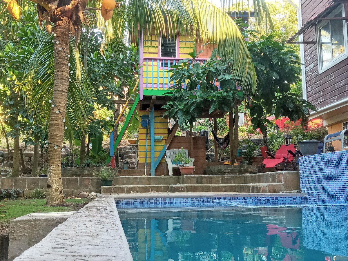 A vibrant multicolored house is perched among lush greenery, with a staircase leading to its entrance. A relaxing swimming pool is visible in the foreground, surrounded by a stone border. Tropical plants and trees add to the serene outdoor setting.