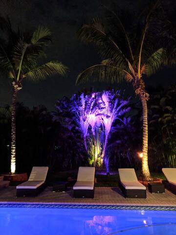 Unique Tropical Paradise! Heated Pool & Tiki Bar gallery image 5