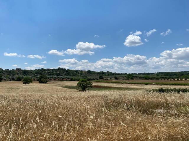Trulli vecchi del campolungo gallery image 5
