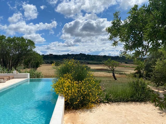 Trulli vecchi del campolungo