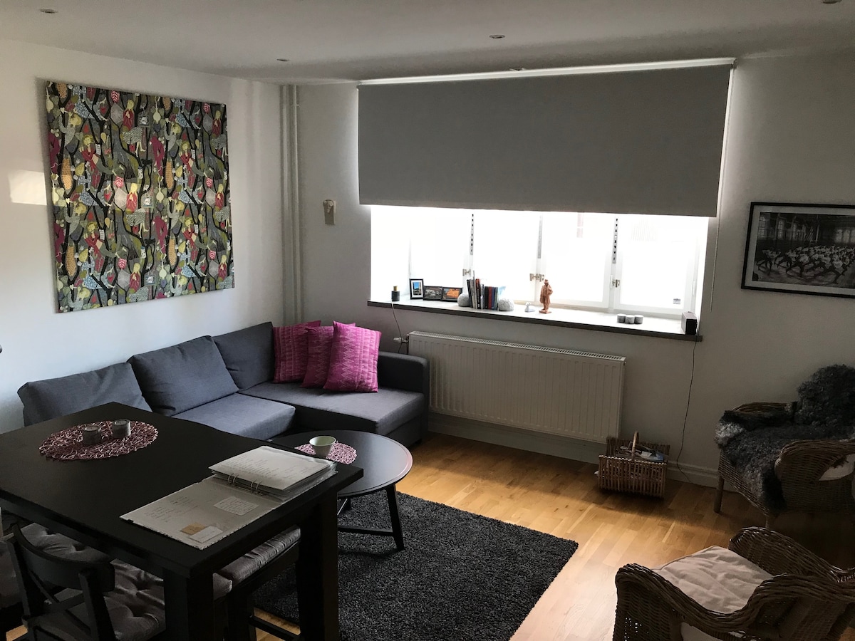 全尺寸沙发床，配有超厚的床垫