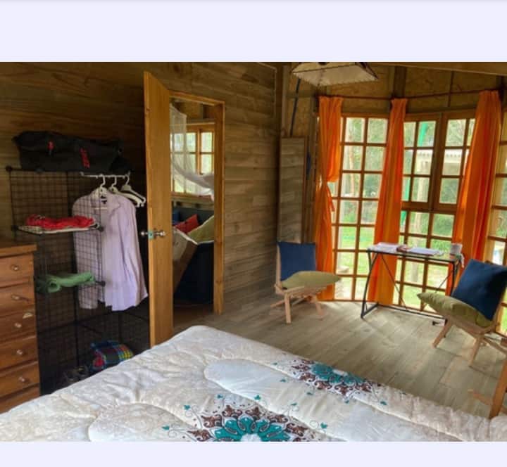 Chumba chenye nafasi kubwa, kilichofungwa, chenye madirisha mazuri na mandhari ya bustani, pia ni pergola na jiko la kuchomea nyama kwenye mandharinyuma