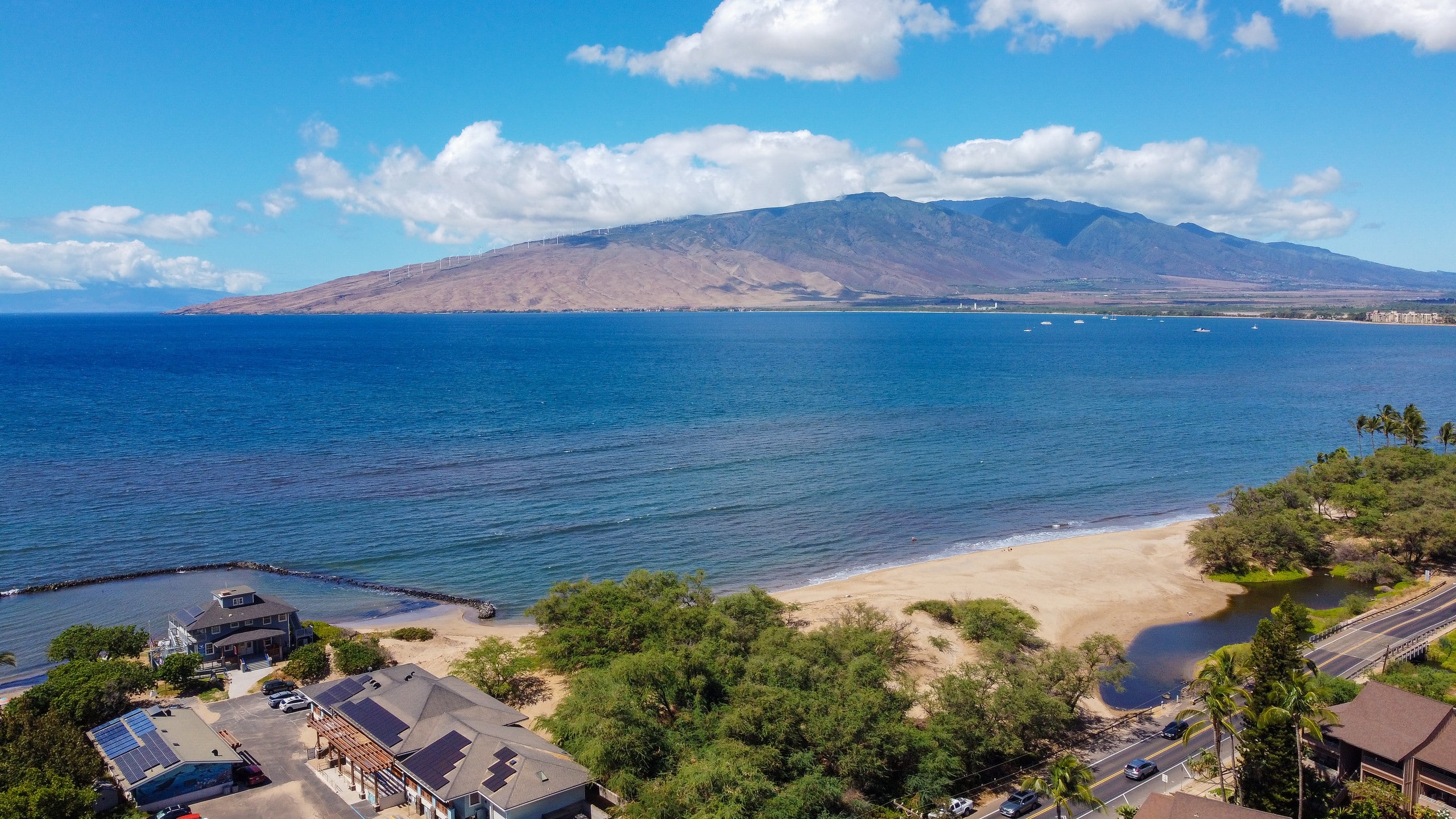 Condo in Kihei · ★4.8 · Studio · 1 bed · 1 private bath - Image 13