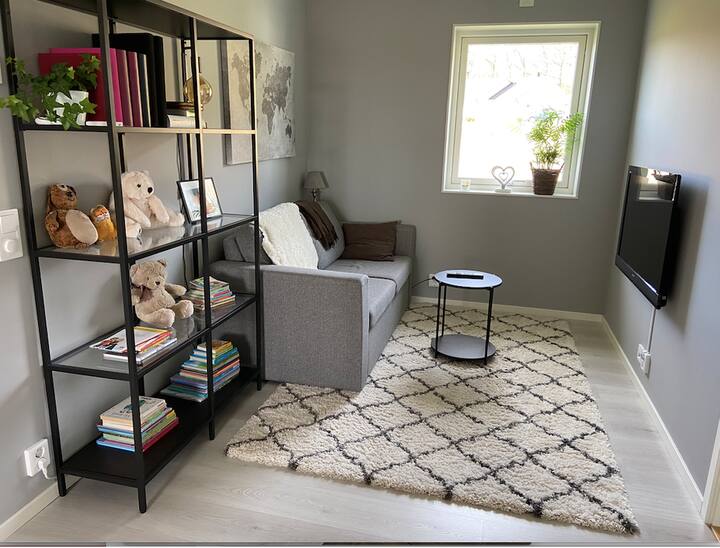 La pequeña sala de estar. Sofá cama (cama doble pequeña) en este espacio también hay espacio para colchón en el suelo o una cama de campamento adicional.