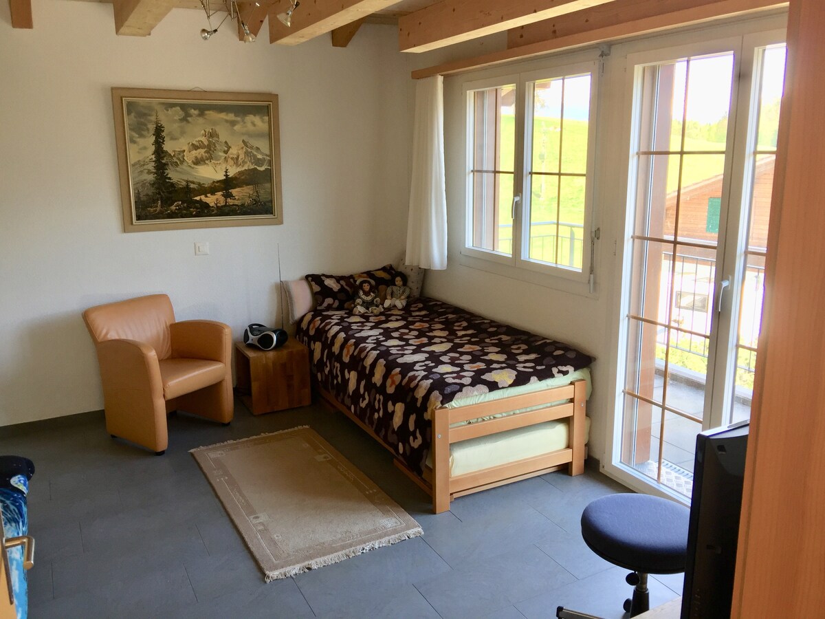 Dormitorio 1  planta baja / variante con cama