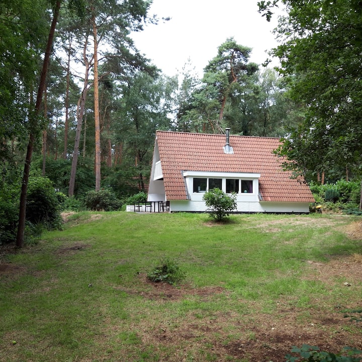 Vakantiehuis Op Top Locatie - Dalfsen