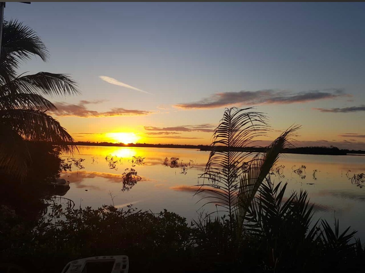 A serene view of the setting sun reflects on calm waters, surrounded by gentle greenery. Silhouetted palm fronds and foliage create a tranquil frame, while soft clouds are visible above the horizon.