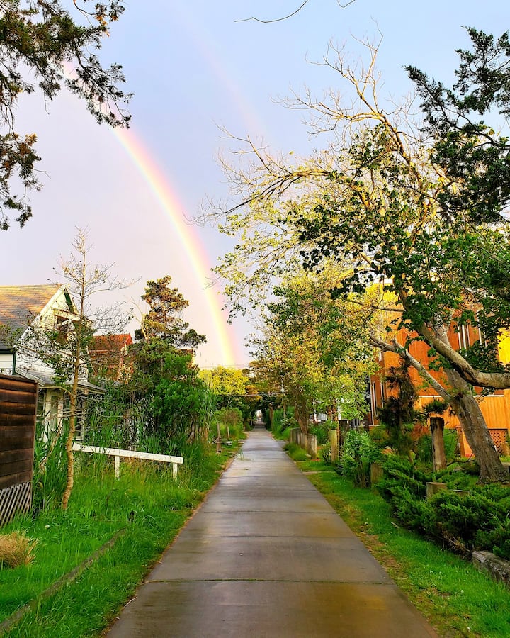 Fire Island House Rentals Bungalow and Cabin Rentals Airbnb