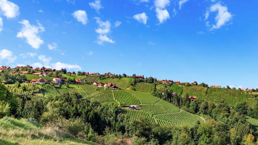 SteiRerBLiCke managed Airbnb listing 2