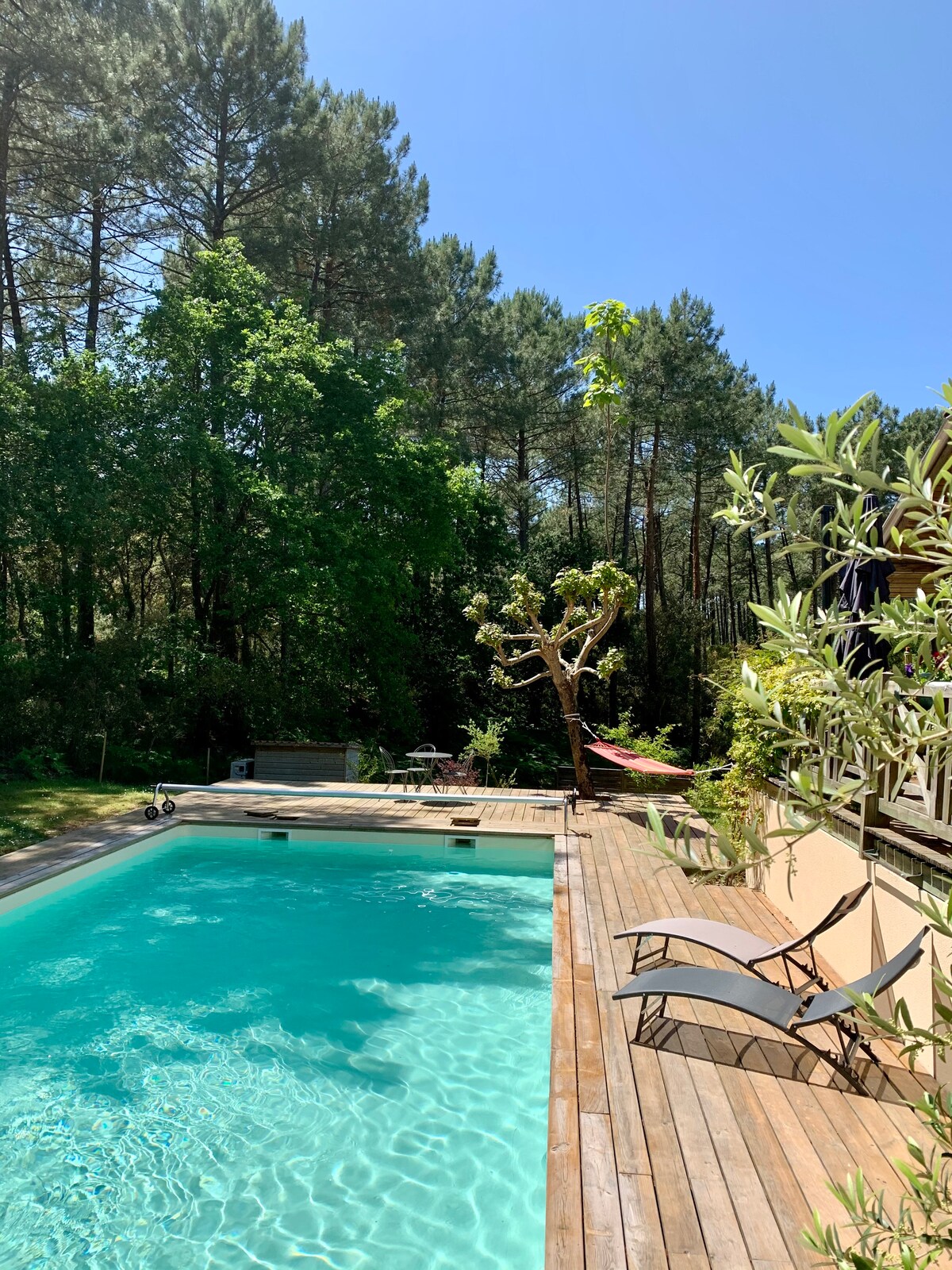 A private swimming pool is framed by wooden decking, surrounded by lush greenery and tall pine trees. Lounge chairs are positioned along the edge, inviting relaxation under clear blue skies. A hammock and comfortable seating areas are visible in the garden, enhancing the tranquil outdoor setting.