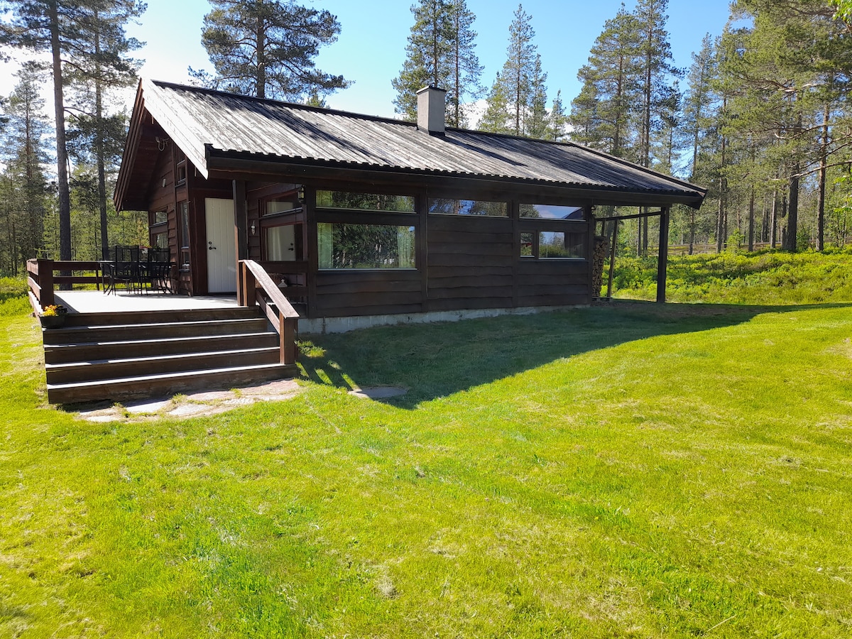 A wooden cabin is set within a lush green landscape, framed by tall trees. The structure features a sloped roof, a front porch with steps leading down to the yard, and large windows allowing natural light to illuminate the interior.