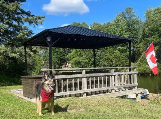 A shaded gazebo with a dark metal roof is situated by the water, surrounded by lush greenery. A wooden railing encloses the area, providing safety and comfort. A Canadian flag flutters in the breeze, while a dog with a red bandana enjoys the scenic view.