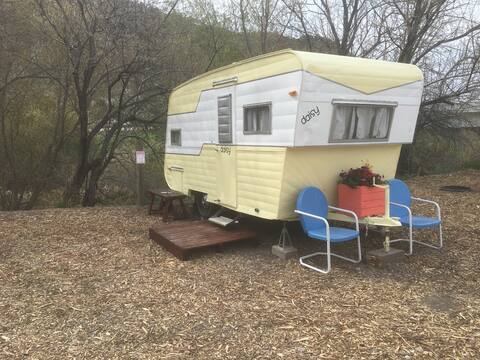 1950's Retro Camper Daisy (king size bed)