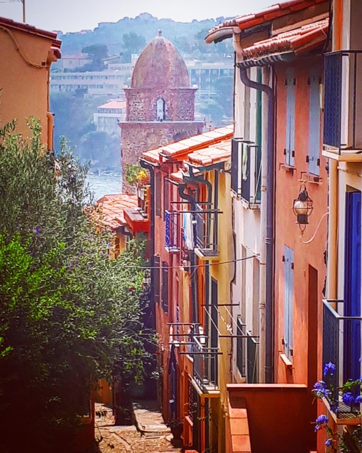 A narrow, winding street is lined with colorful buildings featuring balconies and flower pots. In the background, a tower is visible, adding historical charm to the serene view of the seaside. Natural greenery frames the scene, enhancing the vibrant atmosphere of the location.