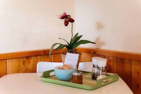 Top performing Airbnb: A Lovely Spot- your hub for relaxation or action in Rotorua District