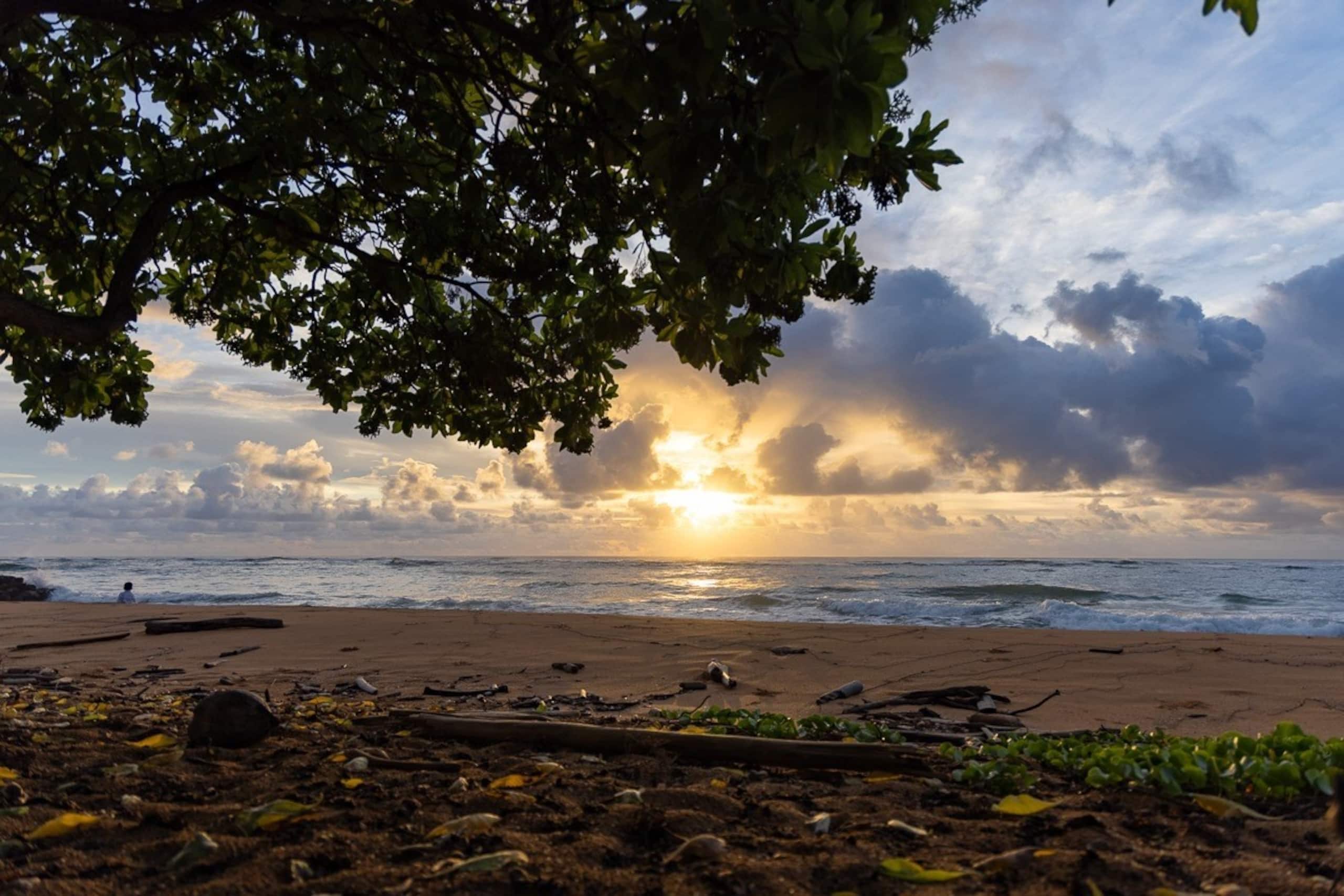 Condo in Kapaa · ★4.88 · 2 bedrooms · 3 beds · 3 baths - Photo 36