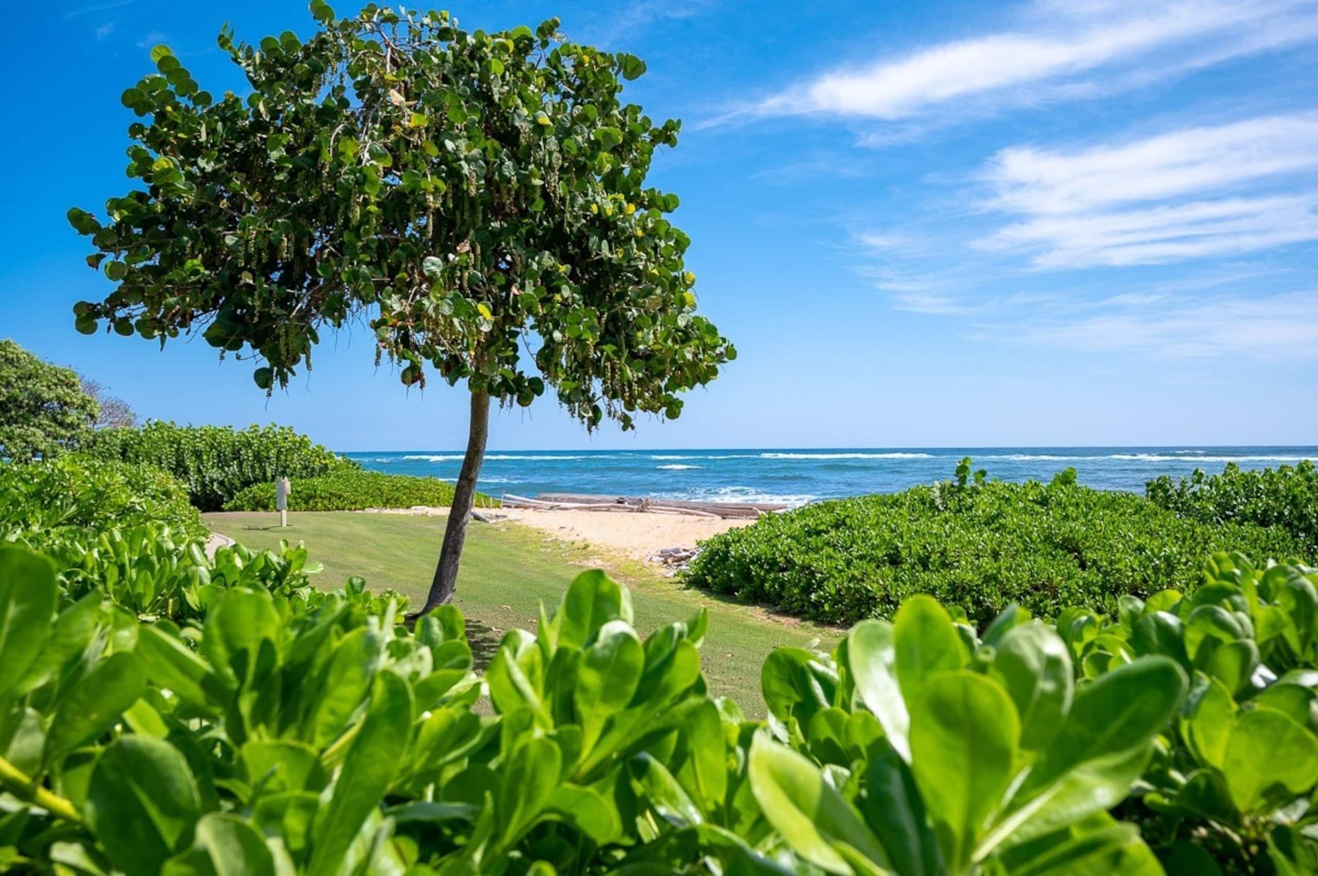 Condo in Kapaa · ★4.88 · 2 bedrooms · 3 beds · 3 baths - Photo 35