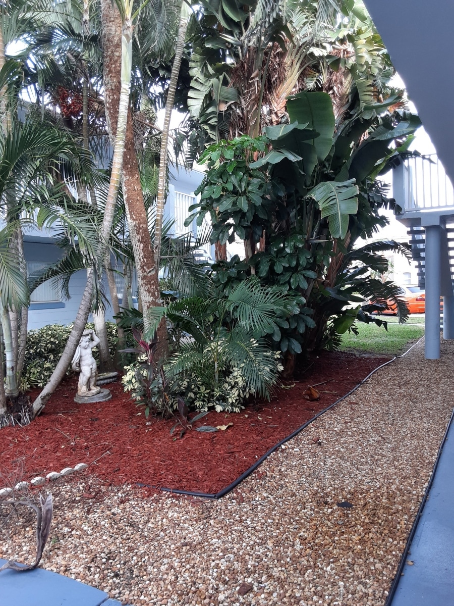 A lush garden area features a variety of tropical plants and trees, surrounded by red mulch and gravel pathways. A decorative statue is positioned among the greenery, adding an element of interest to the natural setting. The area is well-maintained and invites exploration.