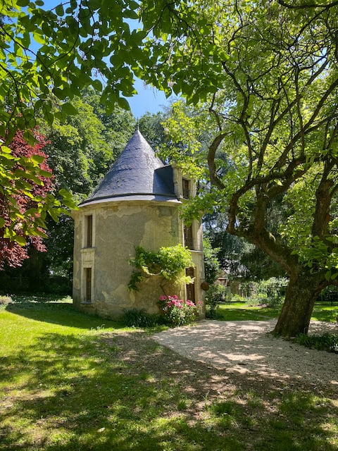 Live a unique experience in a renovated castle