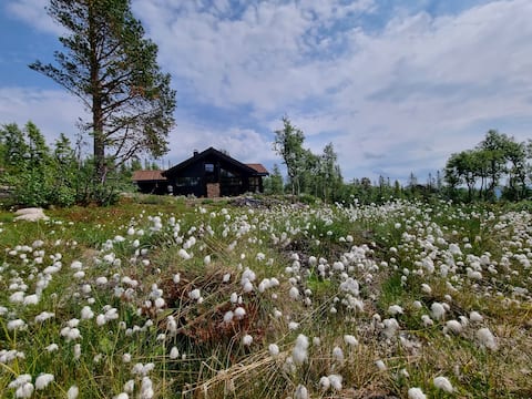 Spring in Eggedal – beautiful cabin with mountain views