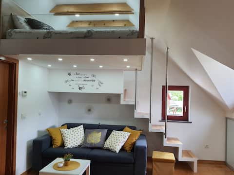 Juliana Apartment- AC+bikes+S.U.P  Bled Bohinj