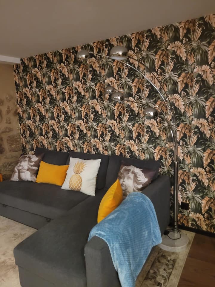 Emília House - Castelo de Paiva