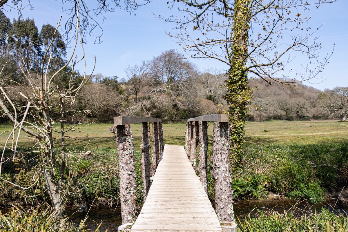 A wooden footbridge stretches across a small stream, leading into a serene landscape of lush grass and scattered trees. Sunlight illuminates the area, creating a peaceful ambiance, while the natural surroundings evoke a sense of tranquility.