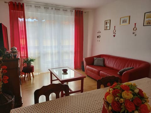 Top performing Airbnb: Les Coquelicots ~ Center* Garage* Terrace* 6 Pers in Colmar