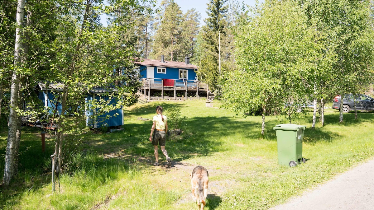 A spacious natural area is showcased with a blue cabin set among tall trees and greenery. A dirt path leads to the cabin, where a person walks with a dog. A green waste bin and parked vehicles are visible nearby.