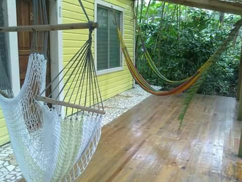 Hidden river, nature cabins