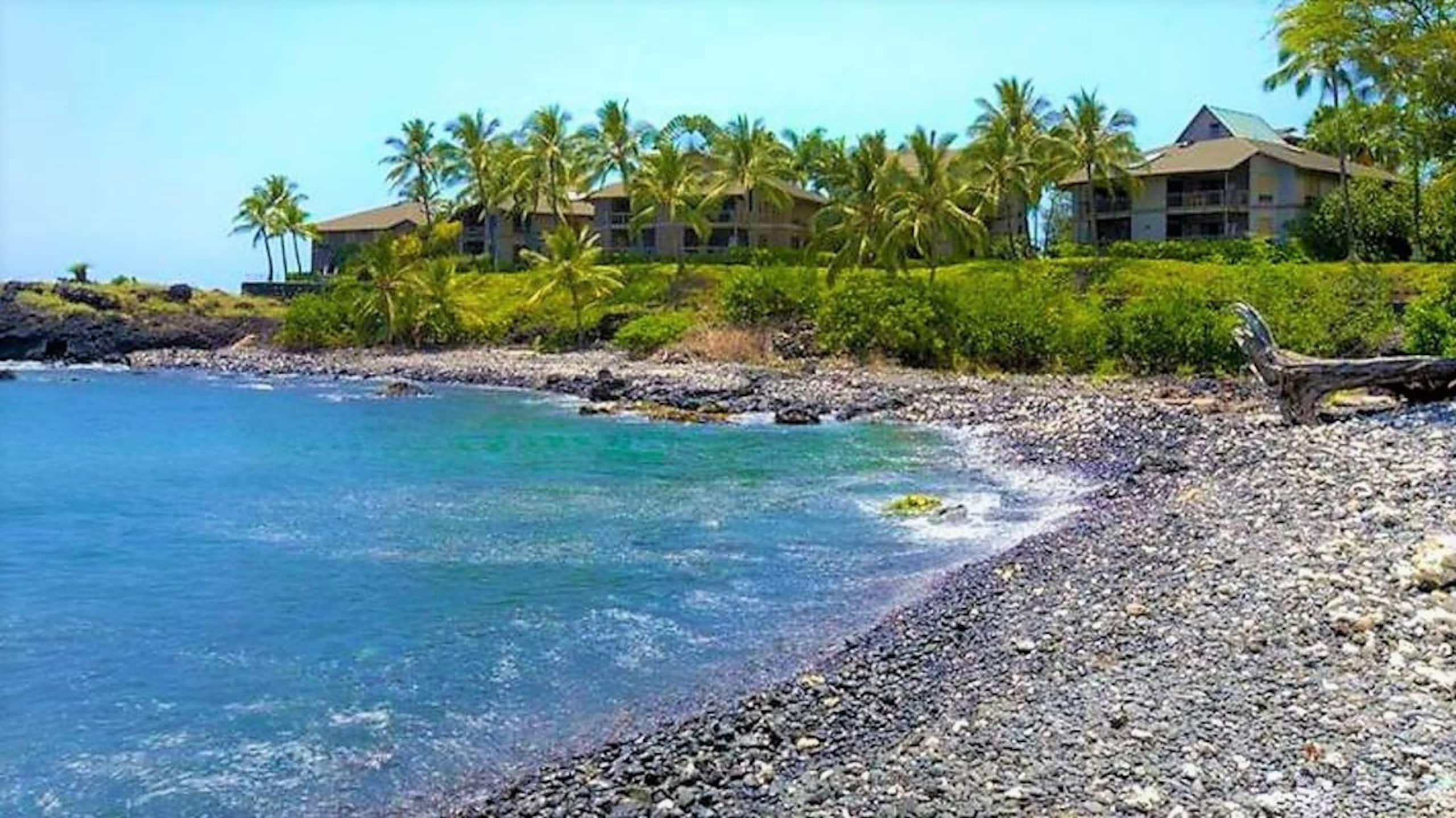 Condo in Kailua-Kona · ★4.92 · 2 bedrooms · 4 beds · 2 baths - Image 33