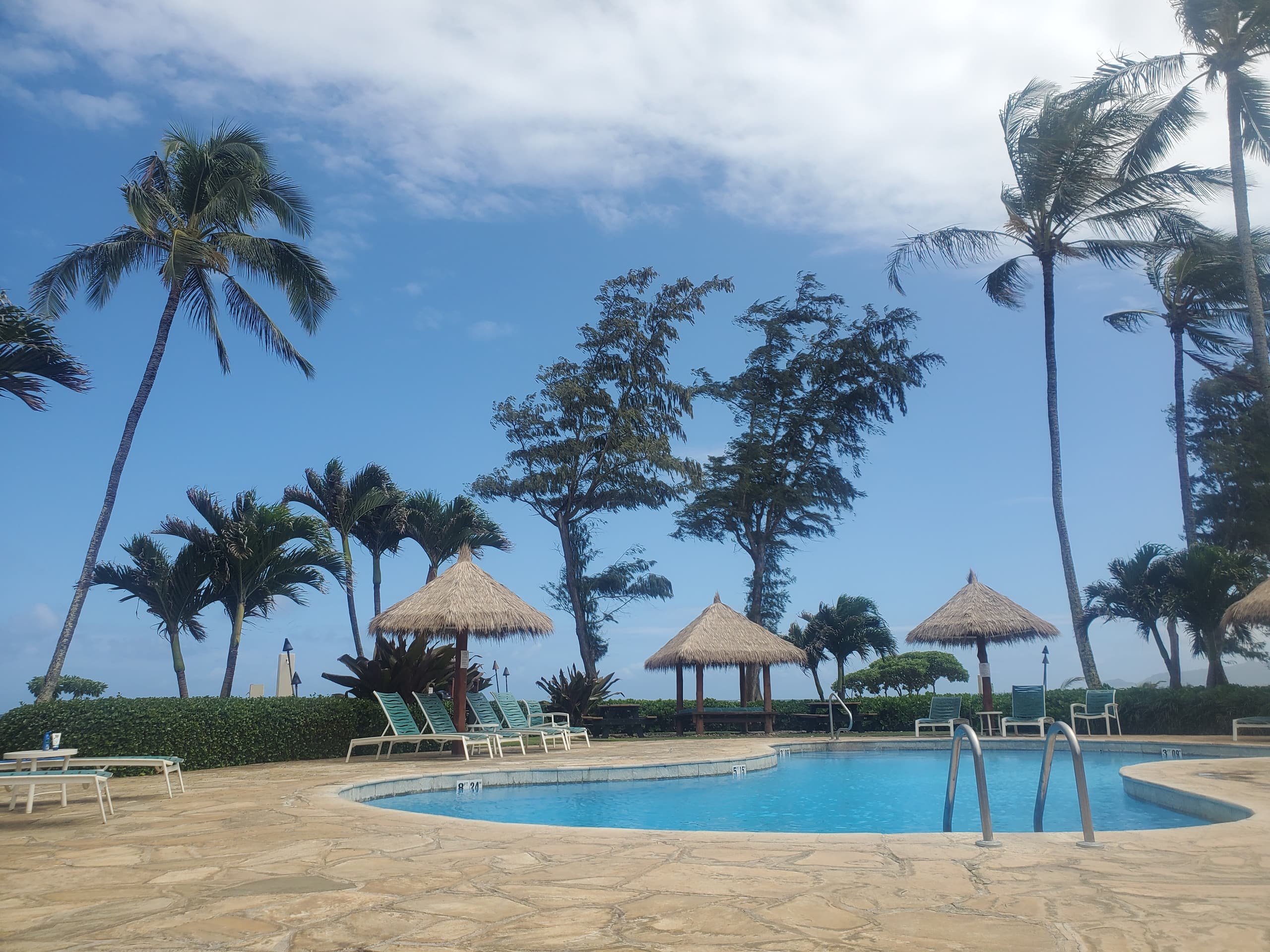 Blue Ocean Breeze Studio 1-min to beach, pool, AC - Photo 19