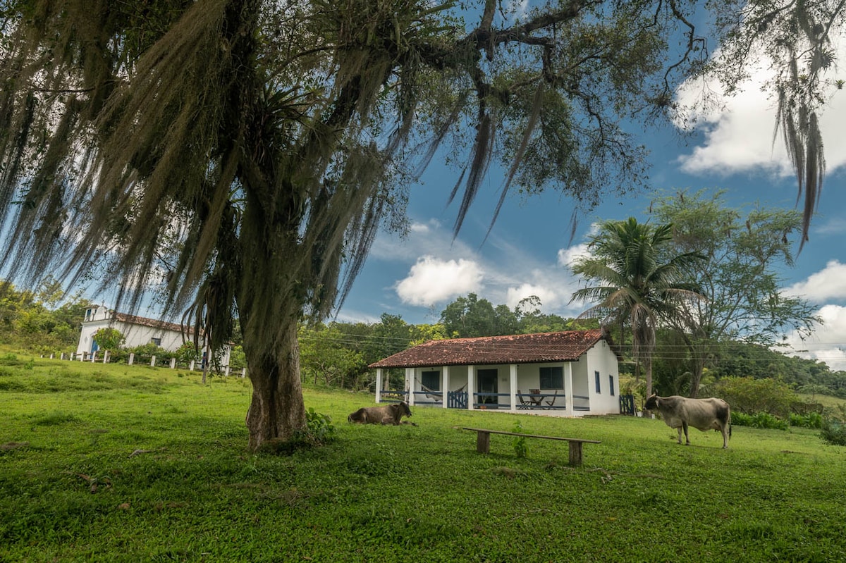 A rustic white house with a red-tiled roof is set within a green grassy area, surrounded by trees. Cows are grazing nearby, and a wooden bench is positioned in the foreground, providing a serene view of the landscape under a partly cloudy sky.