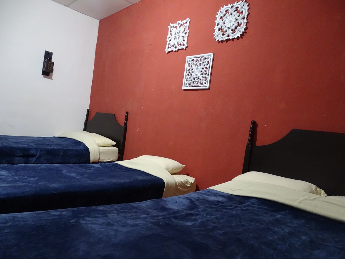 A room is furnished with three spacious beds, each draped in navy blue bedding. The walls are painted in a warm terracotta hue, adorned with decorative art pieces that add visual interest.