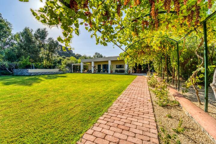 Heliophos Villa Aitheria gallery image 5