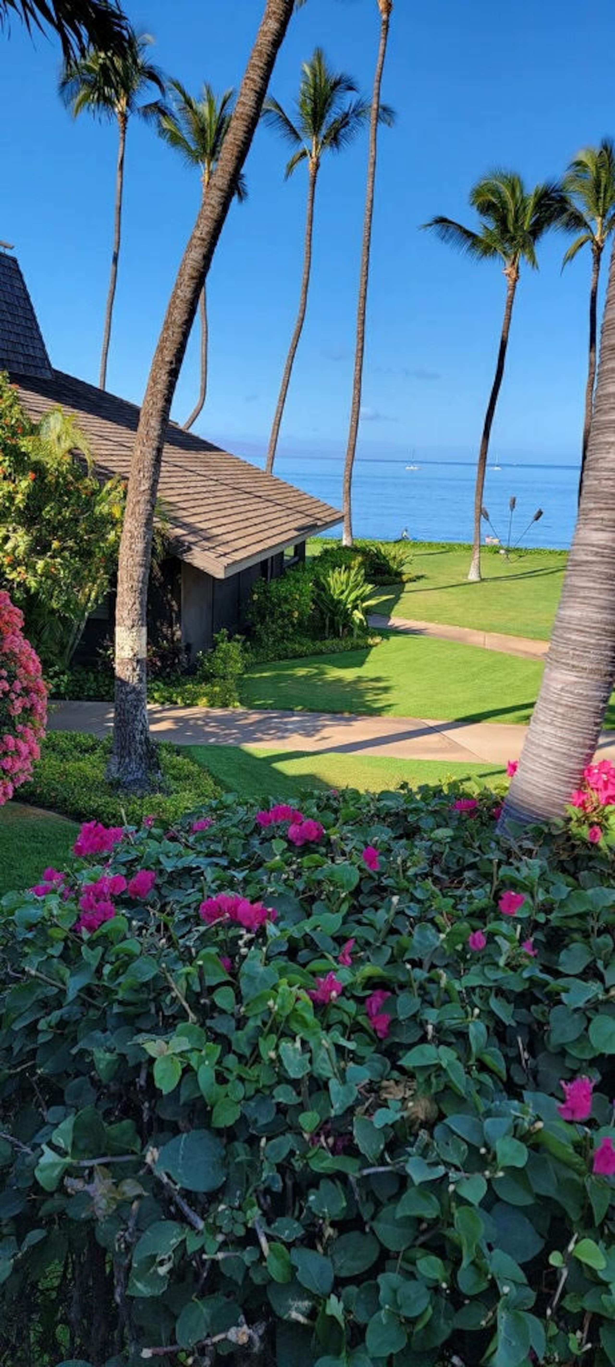 Condo in Kihei · ★4.97 · 2 bedrooms · 2 beds · 2 baths - Image 99