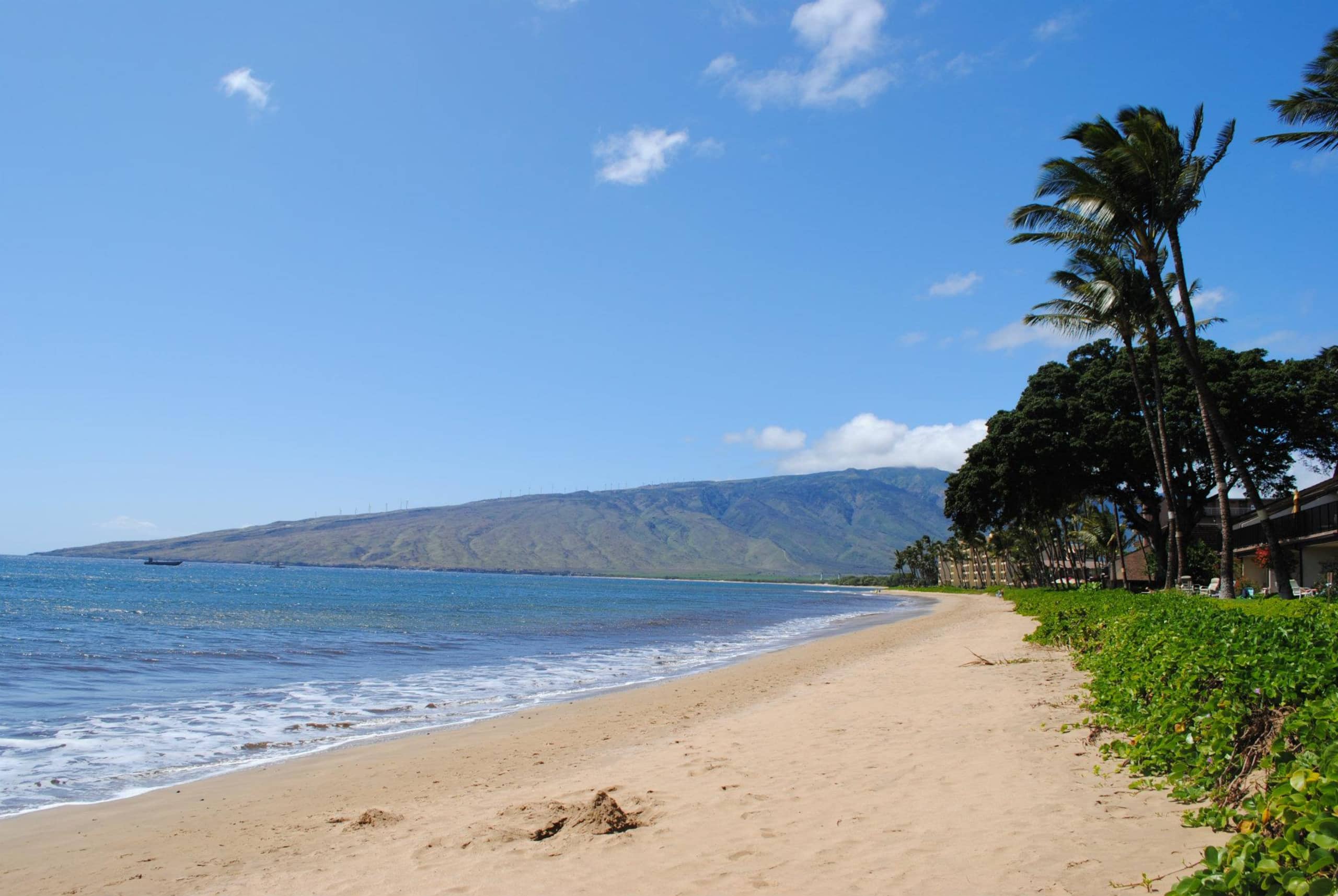 Condo in Kihei · ★4.97 · 2 bedrooms · 2 beds · 2 baths - Image 86
