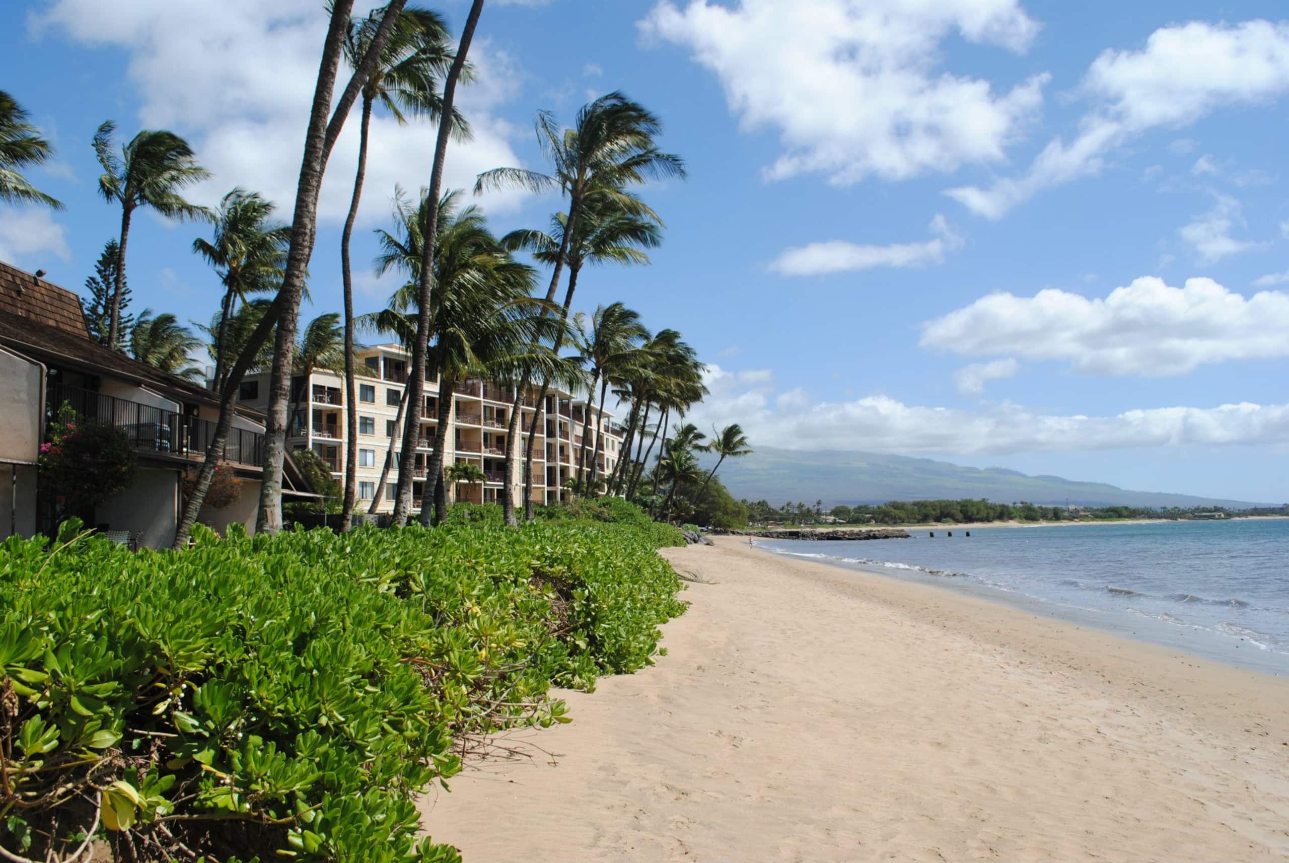 Condo in Kihei · ★4.97 · 2 bedrooms · 2 beds · 2 baths - Image 85