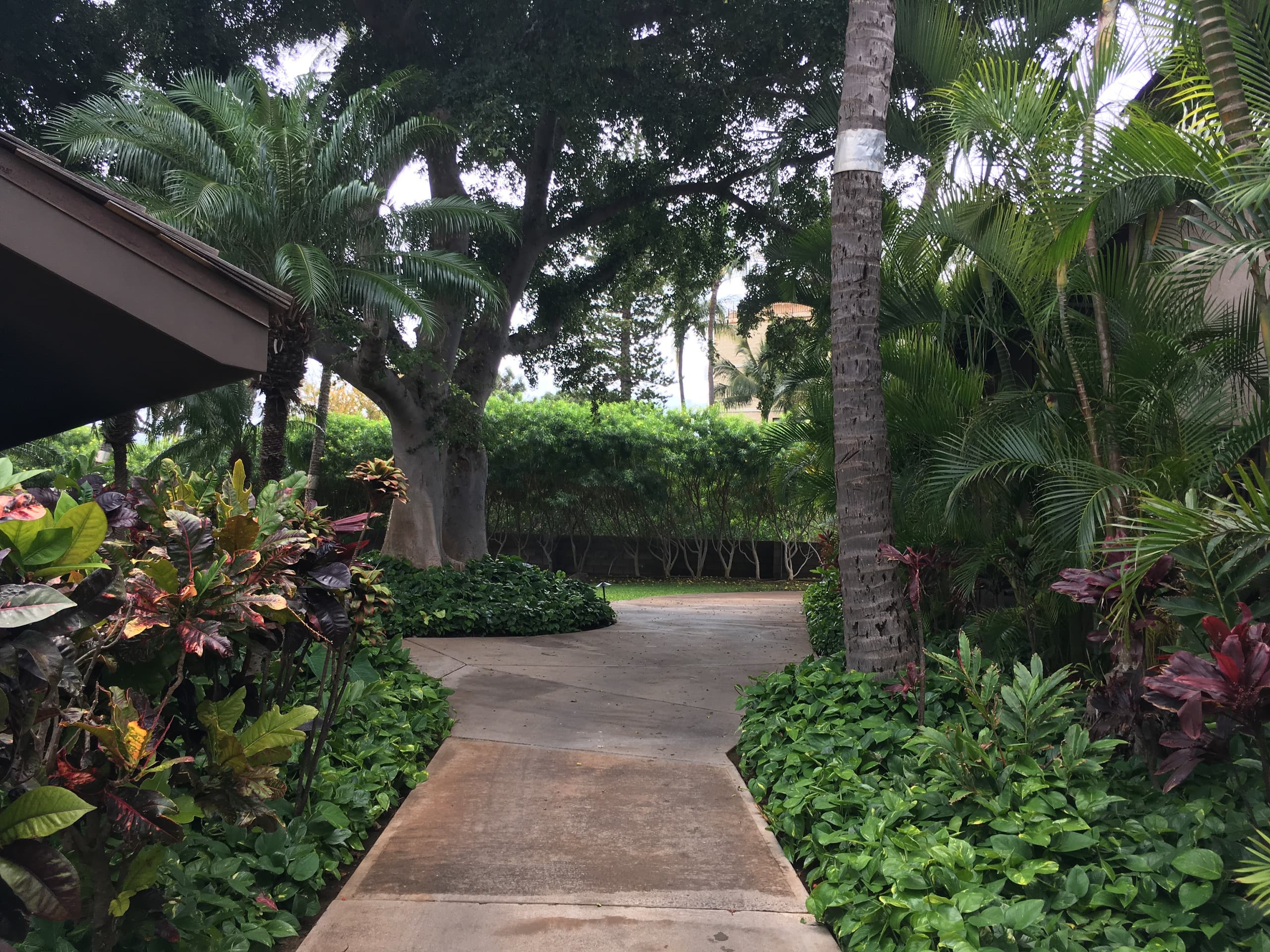 Condo in Kihei · ★4.97 · 2 bedrooms · 2 beds · 2 baths - Image 61