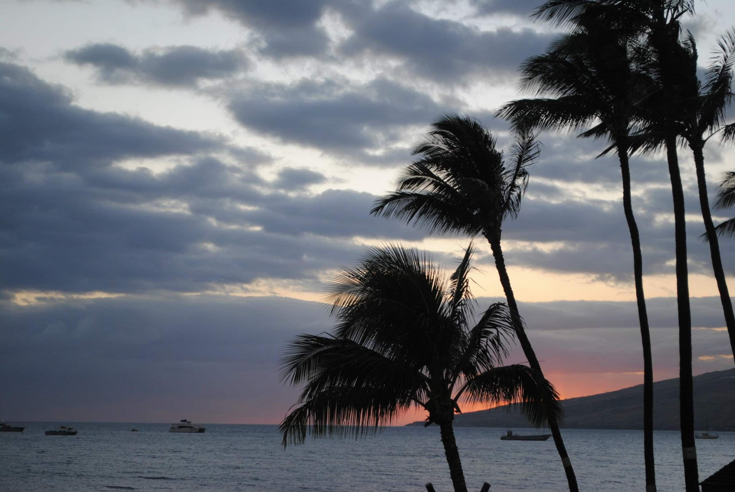 Condo in Kihei · ★4.97 · 2 bedrooms · 2 beds · 2 baths - Image 94