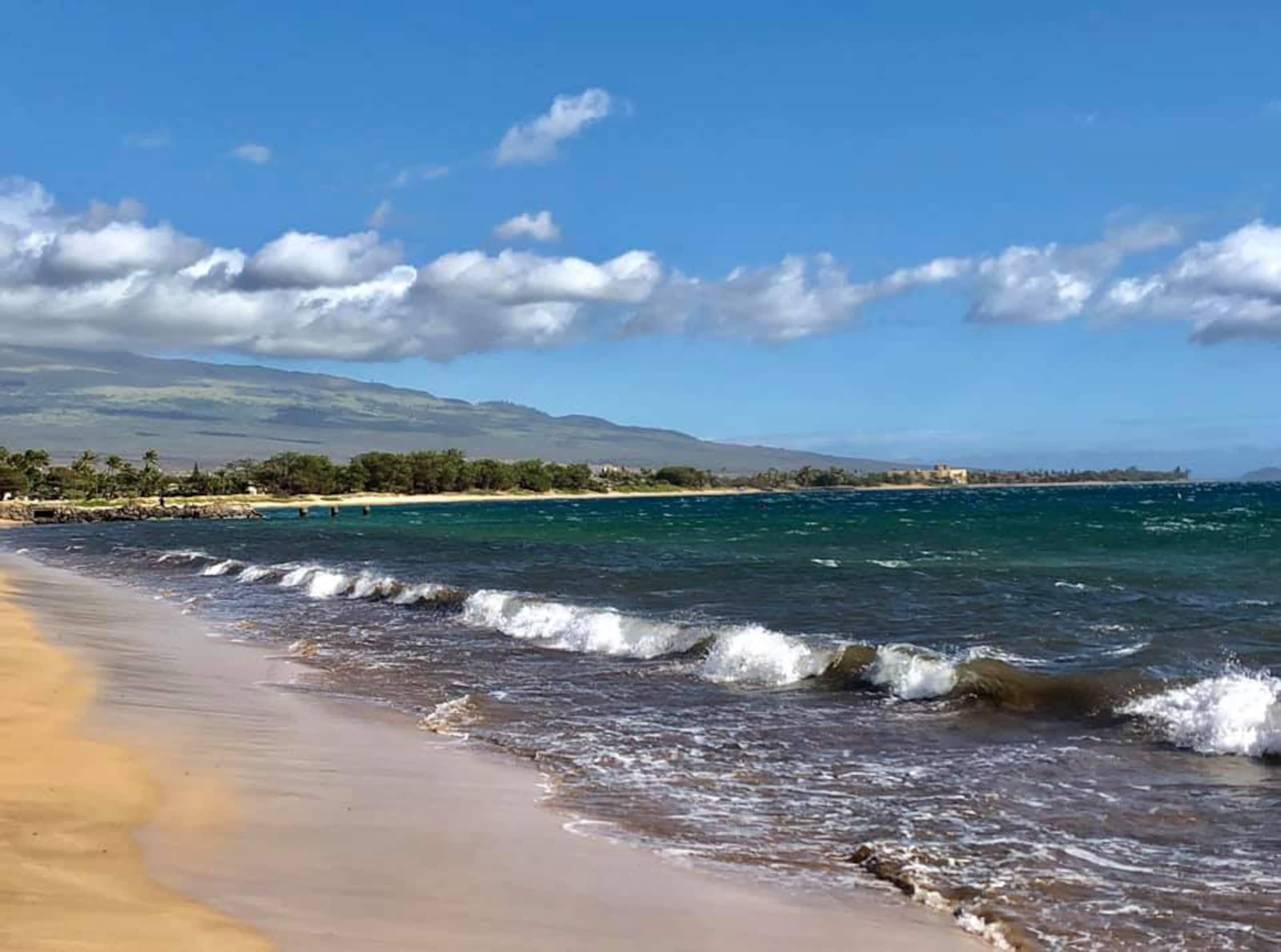 Condo in Kihei · ★4.97 · 2 bedrooms · 2 beds · 2 baths - Image 87