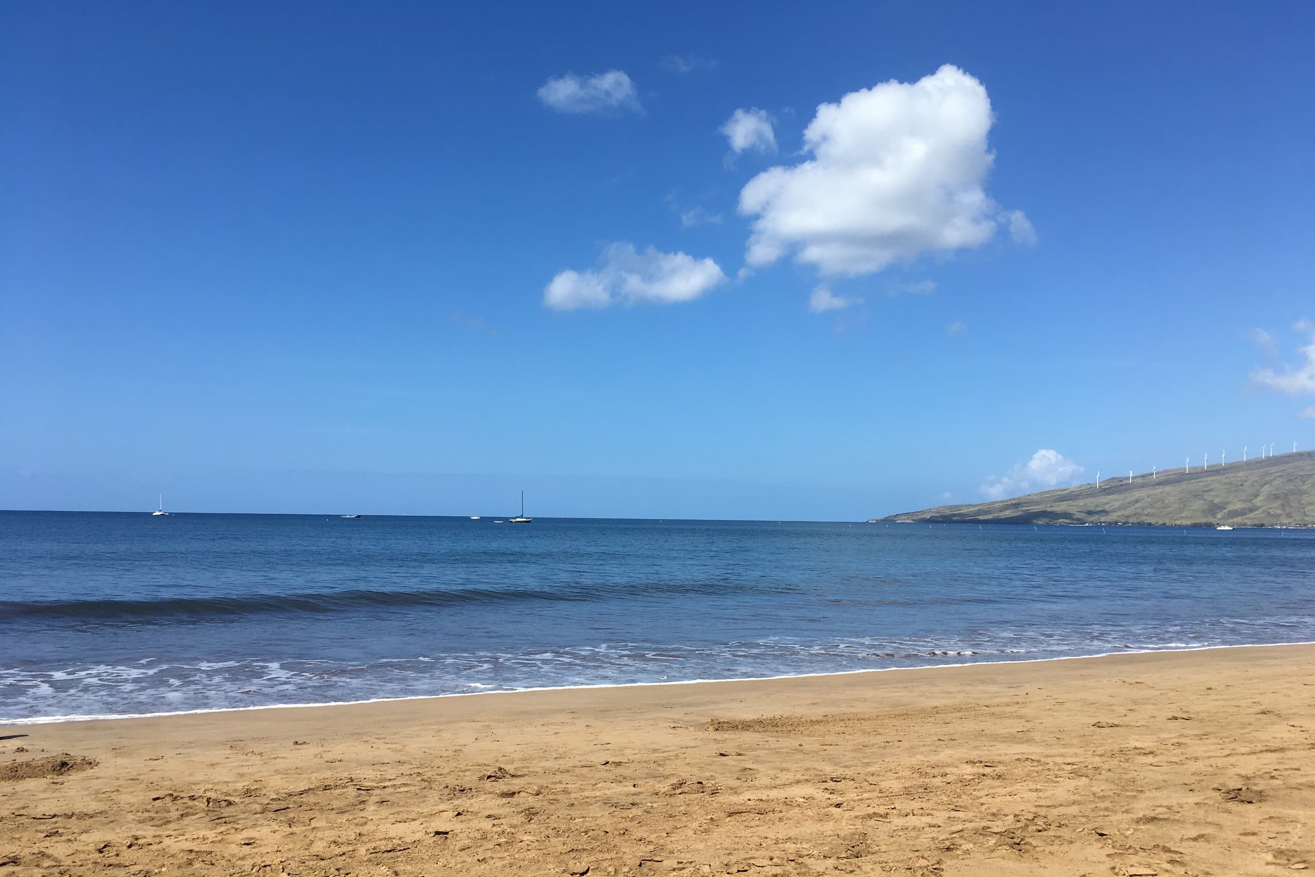 Condo in Kihei · ★4.97 · 2 bedrooms · 2 beds · 2 baths - Image 59