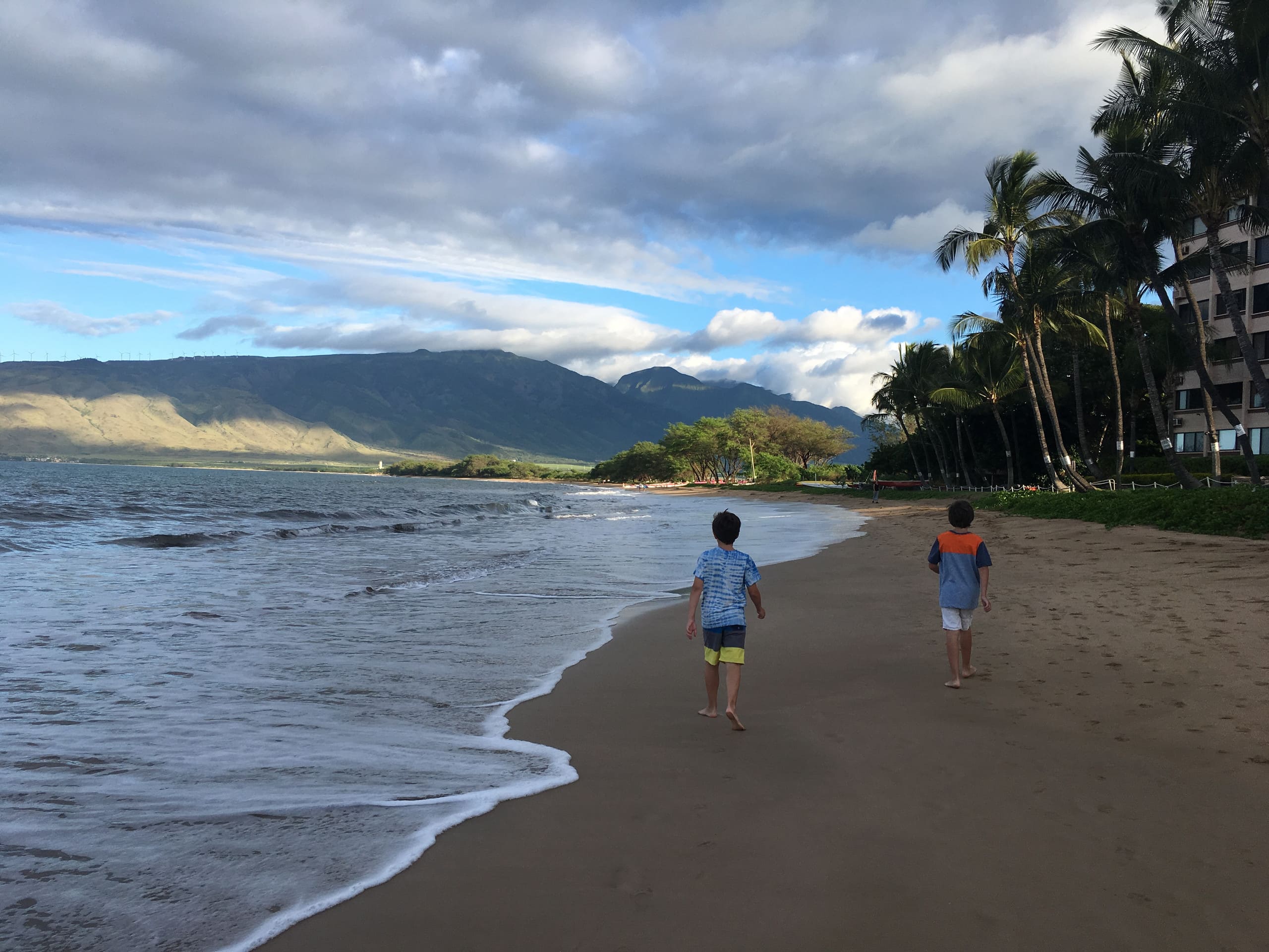 Condo in Kihei · ★4.97 · 2 bedrooms · 2 beds · 2 baths - Image 81