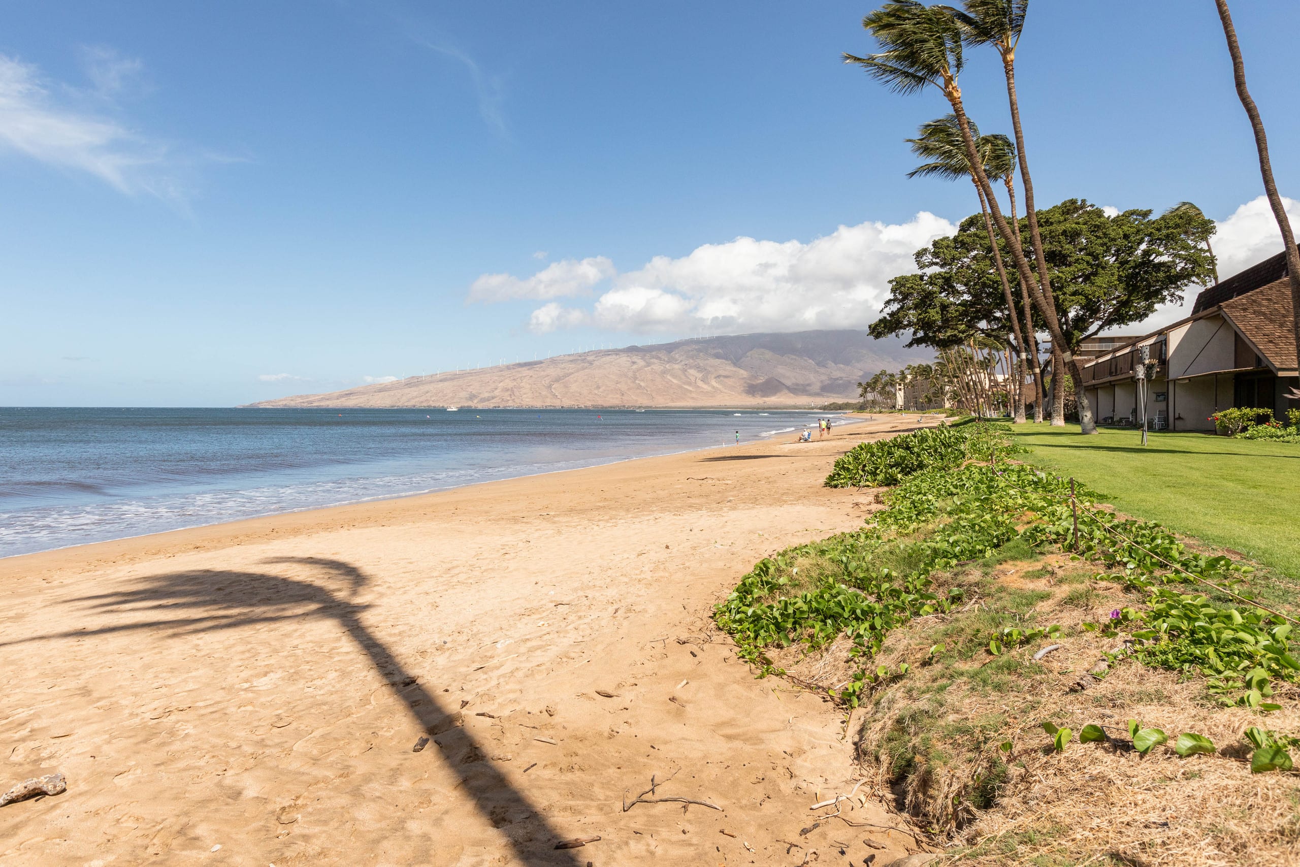 Condo in Kihei · ★4.97 · 2 bedrooms · 2 beds · 2 baths - Image 58