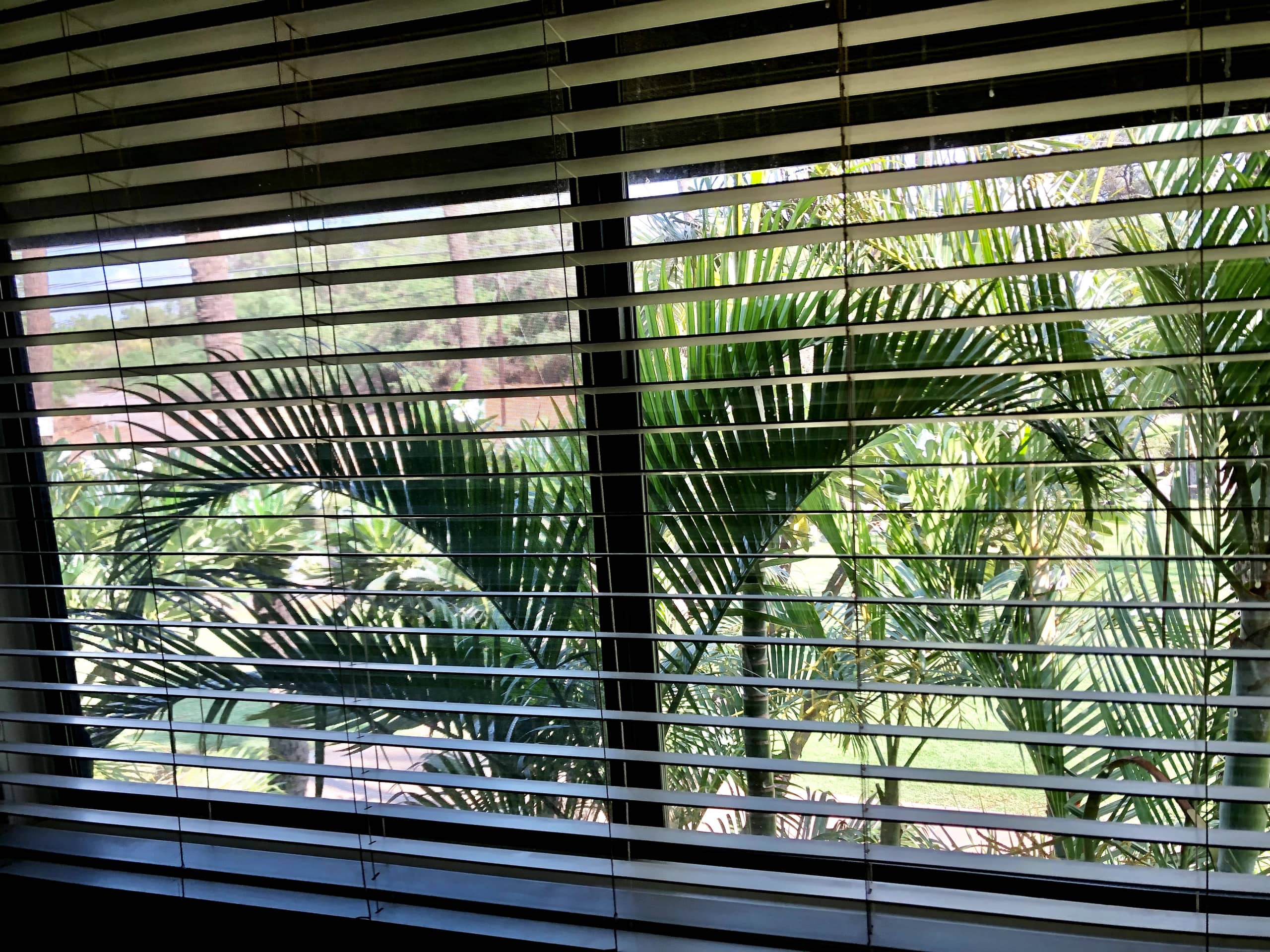 Condo in Kihei · ★4.97 · 2 bedrooms · 2 beds · 2 baths - Image 25