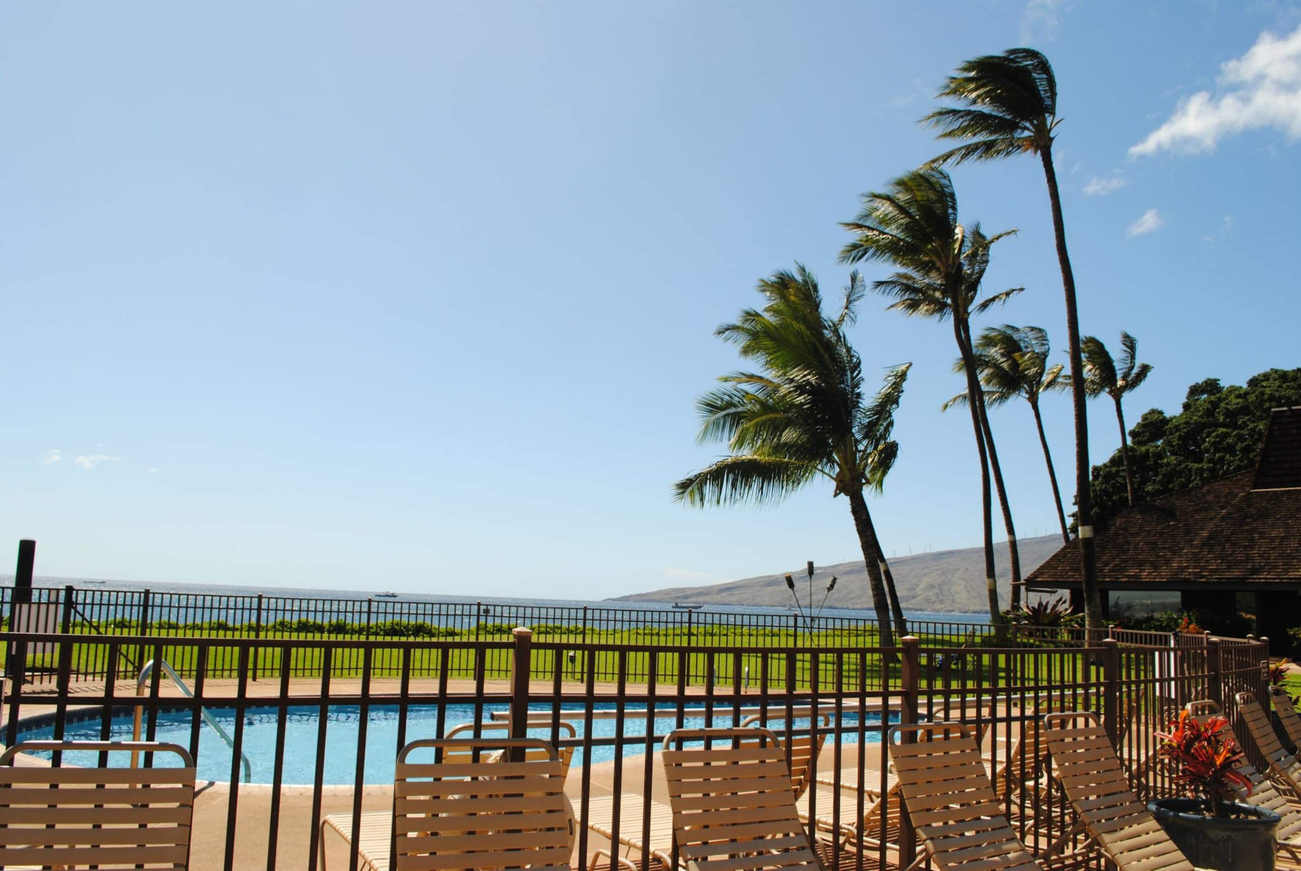 Condo in Kihei · ★4.97 · 2 bedrooms · 2 beds · 2 baths - Image 92
