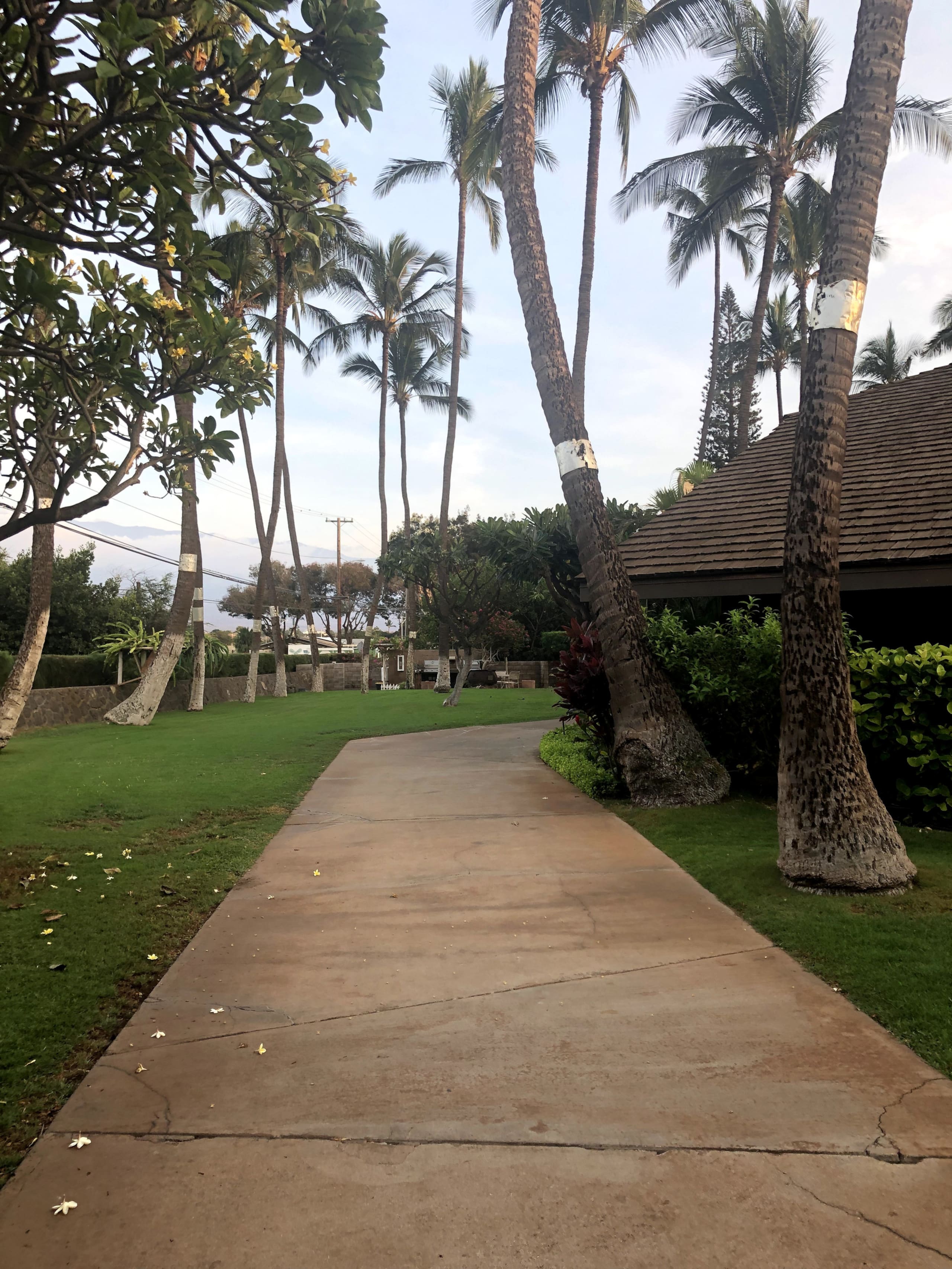 Condo in Kihei · ★4.97 · 2 bedrooms · 2 beds · 2 baths - Image 74